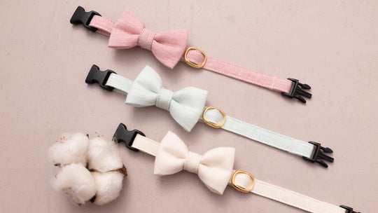 生地も糸もすべて綿100％！オールコットンの猫首輪ができました！