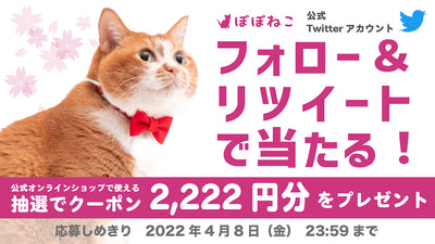 Twitter フォロー&リツイートキャンペーンのお知らせ【2022年4月】