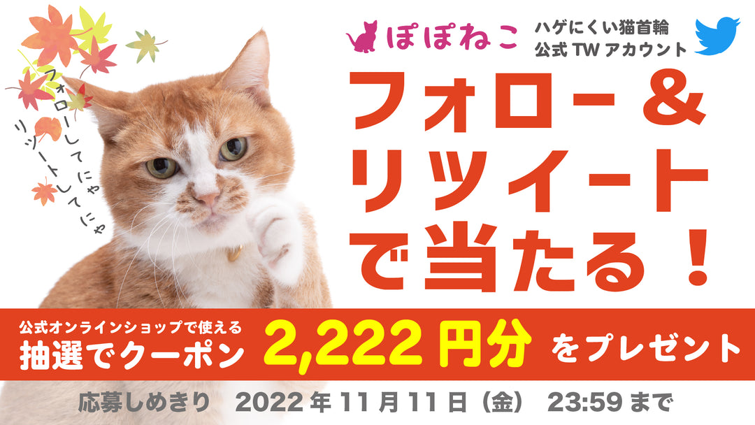 Twitterフォロー&リツイートキャンペーンのお知らせ【2022年11月】