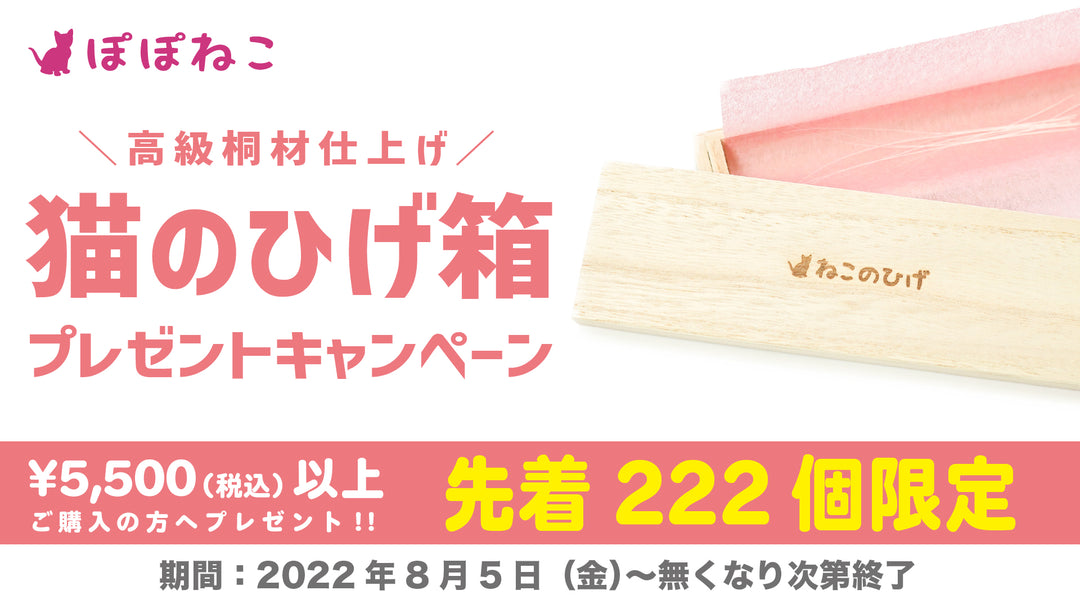1回のご購入金額が5,500円（税込）以上で『猫のひげ箱』プレゼント！