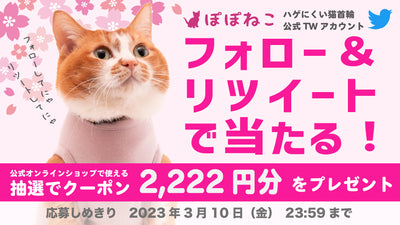 Twitterフォロー&リツイートキャンペーンのお知らせ【2023年3月】