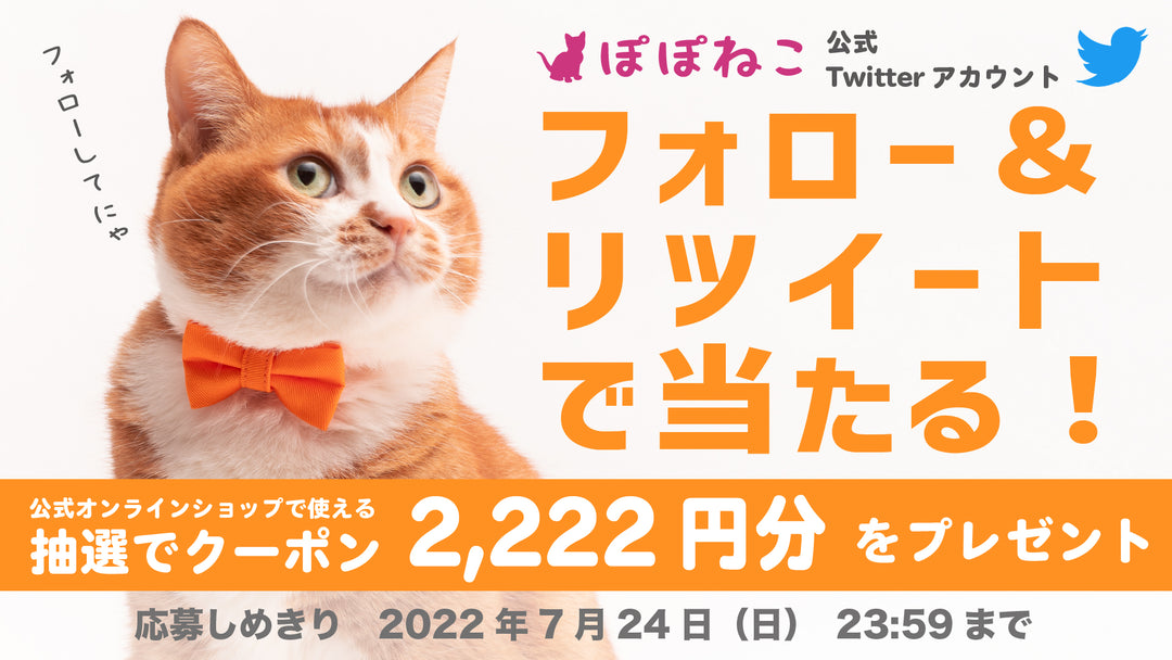Twitterフォロー&リツイートキャンペーンのお知らせ【2022年7月】