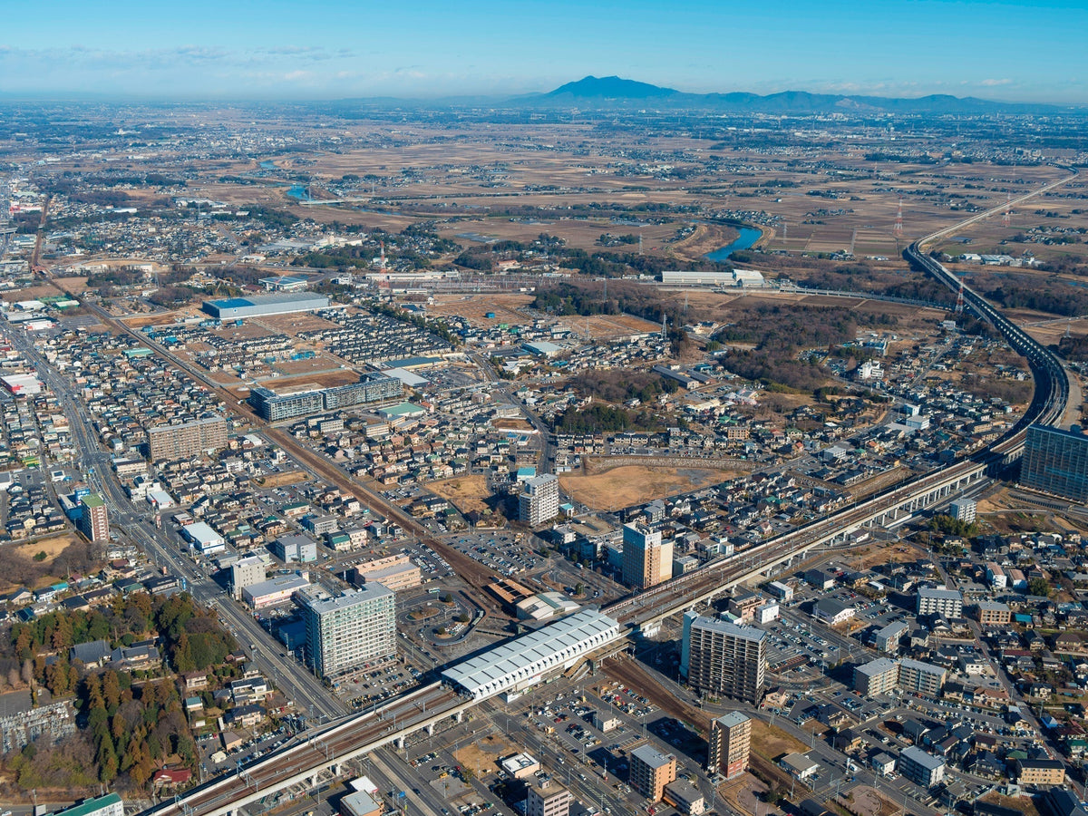 【茨城県守谷市】ぽぽねこのアイテムが「Amazonふるさと納税」に仲間入りしました