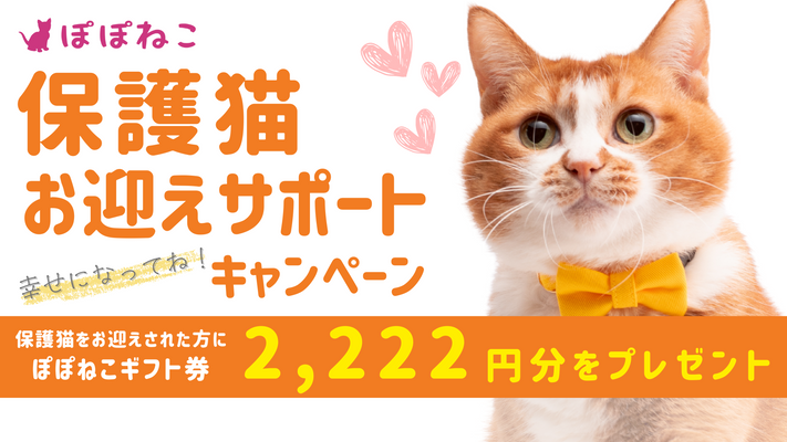 幸せになってね！保護猫お迎えサポートキャンペーン