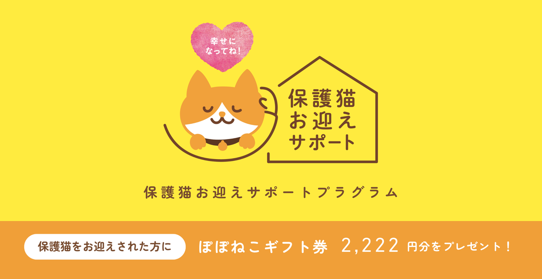 幸せになってね！保護猫お迎えサポートプログラム