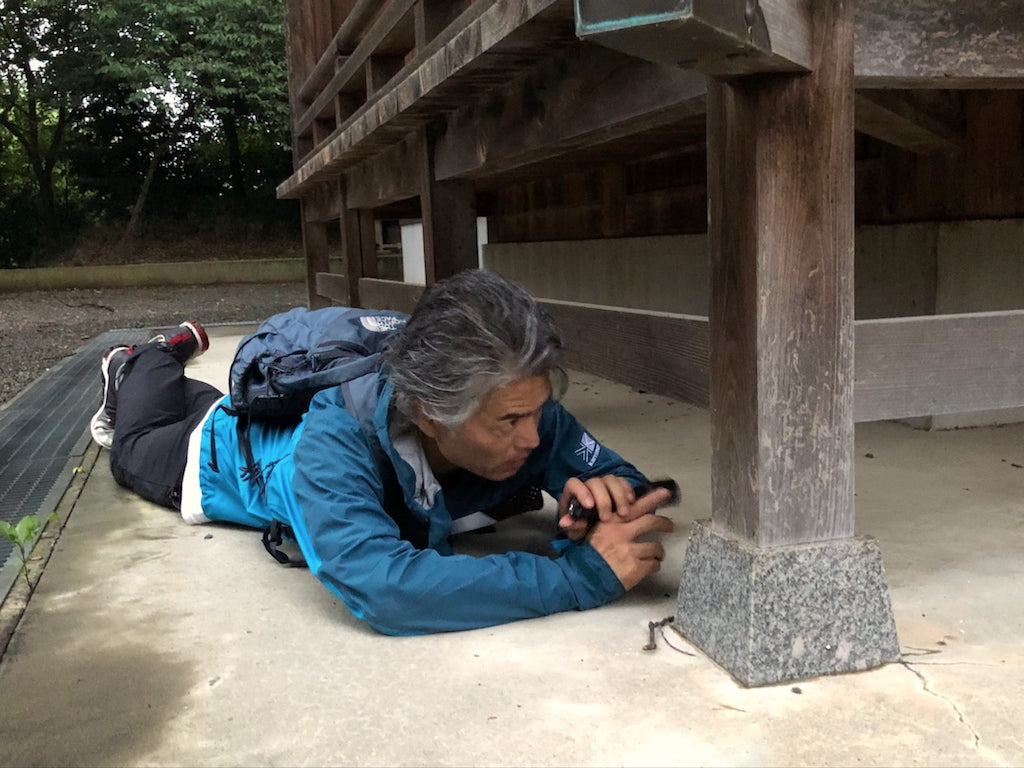 ペット探偵 藤原博史さんに聞く「迷子の猫の探し方」「脱走の防ぎ方」