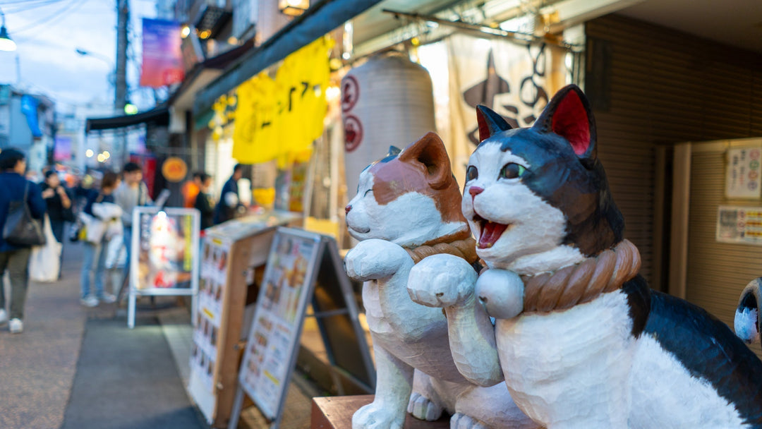 【2026年最新】猫の街、谷根千。ランチから御朱印まで、猫尽くしの散歩のすすめ。