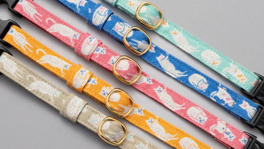 【新商品】和柄からマカロンまで！グラフィック猫首輪で秋冬のおしゃれに新しい風を