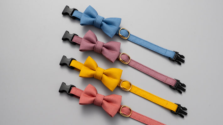 【新商品】秋冬限定色発売！MUJIコットンツイル猫首輪の魅力