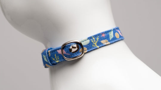 【新商品】夏の新作！夏を楽しむグラフィック猫首輪が新登場！
