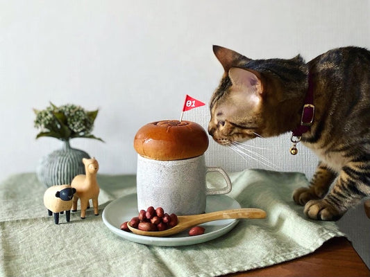 猫にパンを与えていいの？猫にパンを与える際の注意点について