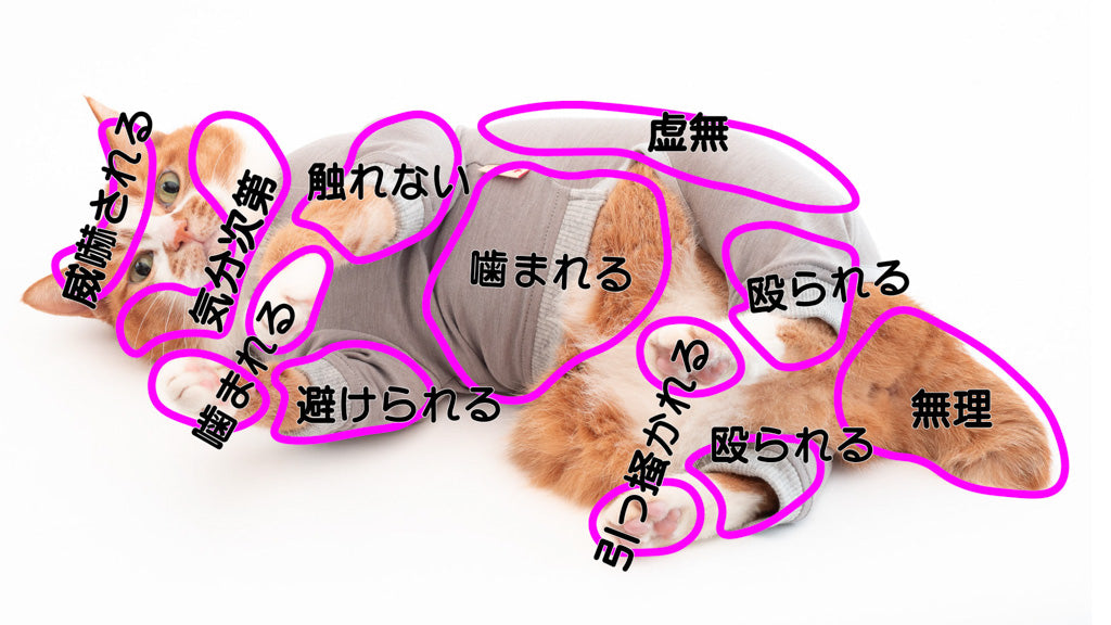 SNSで話題の猫の「お触りマップ」ってなに？作ると愛しさ倍増！