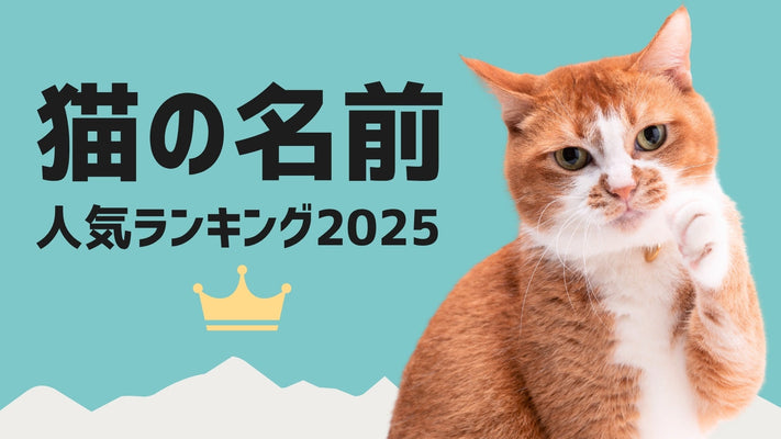 猫の名前ランキング2025｜性別・毛色・あだ名・由来もわかる最新版【ぽぽねこ調査】〜珍しい名前も紹介〜