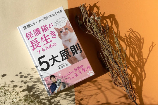 【おすすめ猫本（電子書籍）】保護猫が長生きするための5大原則