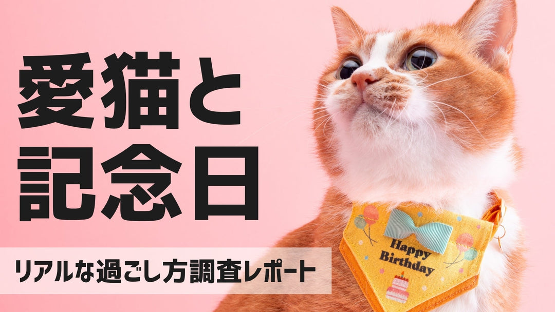 みんなはどうしてる？猫ちゃんの誕生日・うちの子記念日のリアルな過ごし方調査レポート