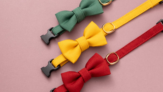 【新商品】ハリとコシがちょうどいい！秋冬限定カラーのコットンツイル猫首輪が新発売しました！