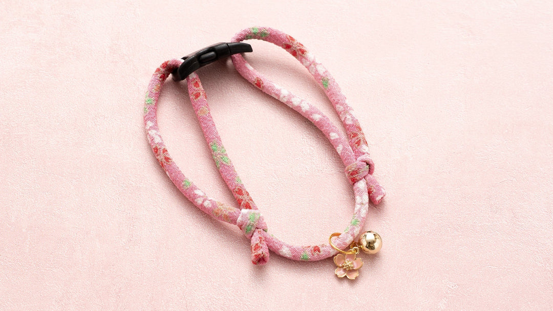 【新商品】丸紐猫首輪に春の新作が仲間入りしました！