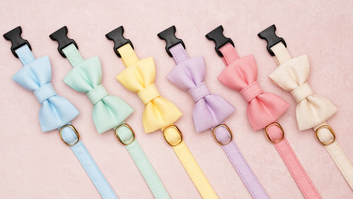 【新商品】新色が仲間入り！春夏限定カラーのコットンツイル猫首輪が新発売！