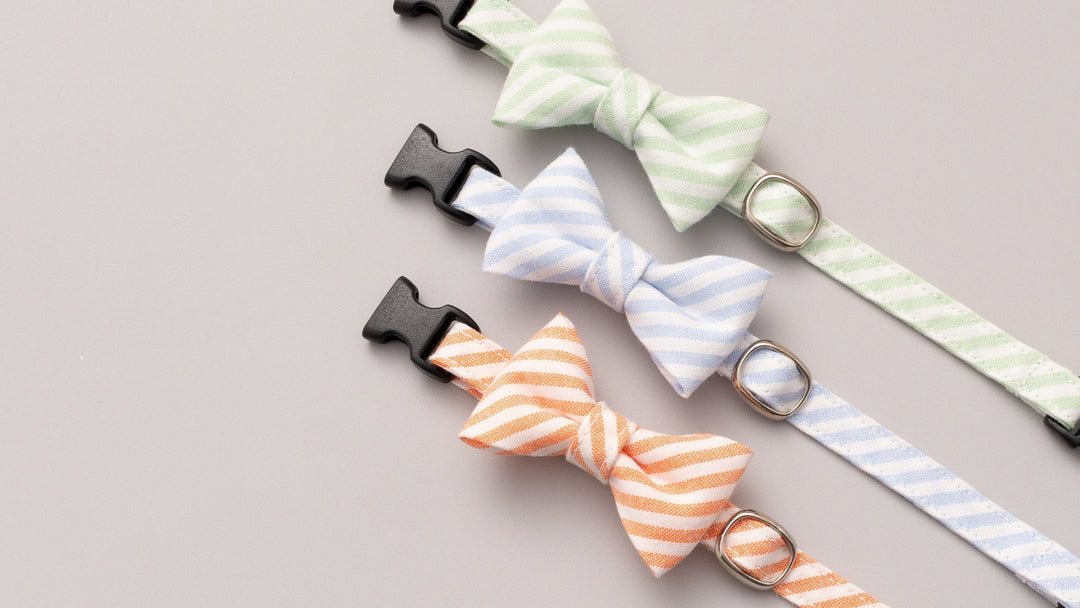 【新商品】窓辺でまどろむ姿がもっと愛おしくなる。飾らない日常によく似合う、やわらかなストライプ。