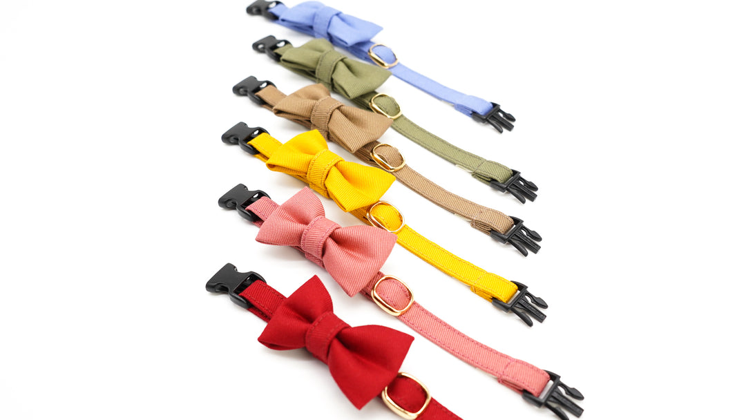 【新商品】秋冬限定カラー登場！コシとハリ、そして優しさ溢れる猫首輪に新色仲間入り