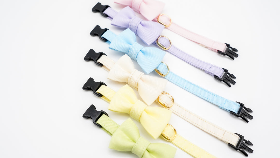 【新商品】春夏限定カラー登場！気分が明るくなるパステルカラーの猫首輪ができました！