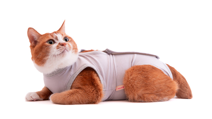 【新商品】手術後やケガ治療時に優しくサポート！術後服が新登場しました。