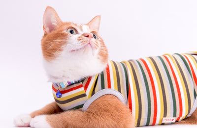 愛猫の秋冬スタイルに欠かせない猫服「防寒キャットウォーム」がすごいワケ