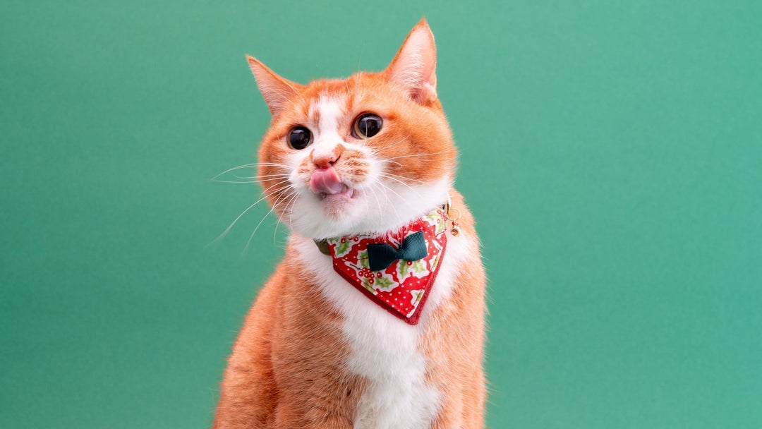 【新商品】おしゃれなバンダナデザインのクリスマス猫首輪ができました！