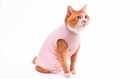 【新商品】手術後やケガ治療時に優しくサポート！術後服が新しくなりました！