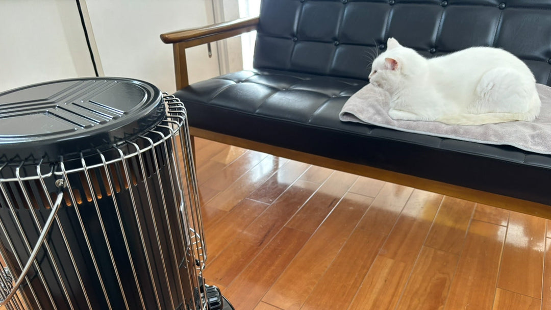 ストーブを囲む冬、黒猫と白猫と私