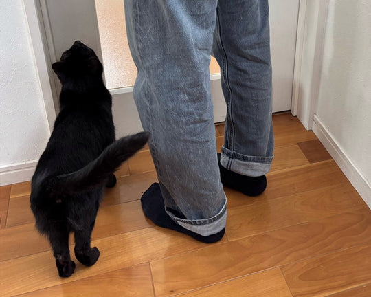 【猫も病むんかい】分離不安って知ってる？