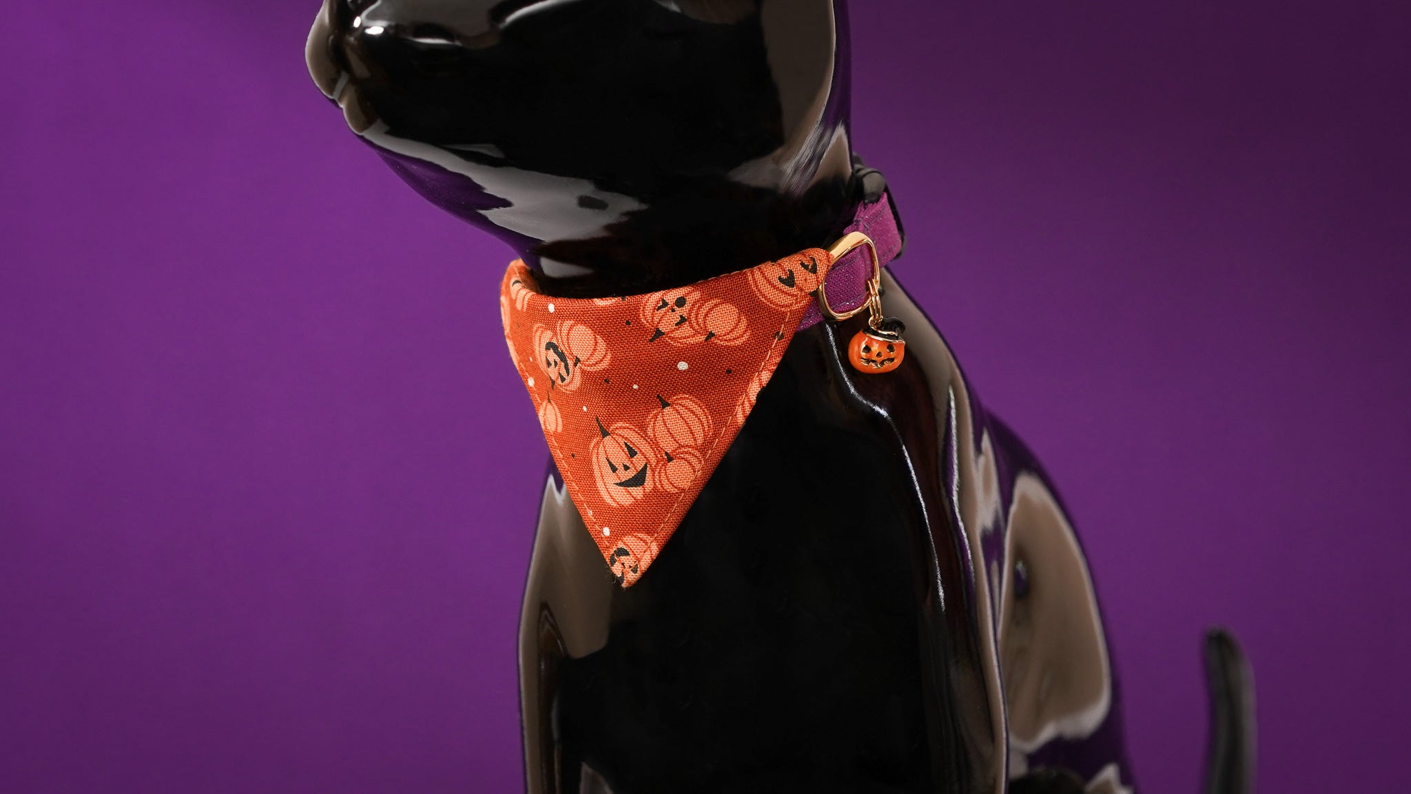 【新商品】ハロウィンの猫首輪ができました！