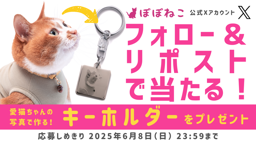X（Twitter）フォロー&リポストキャンペーンのお知らせ【2025年6月】