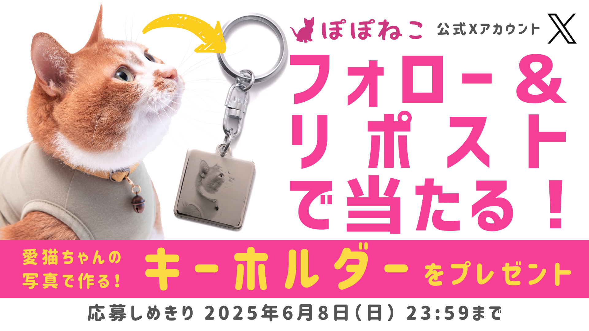 X（Twitter）フォロー&リポストキャンペーンのお知らせ【2025年6月】