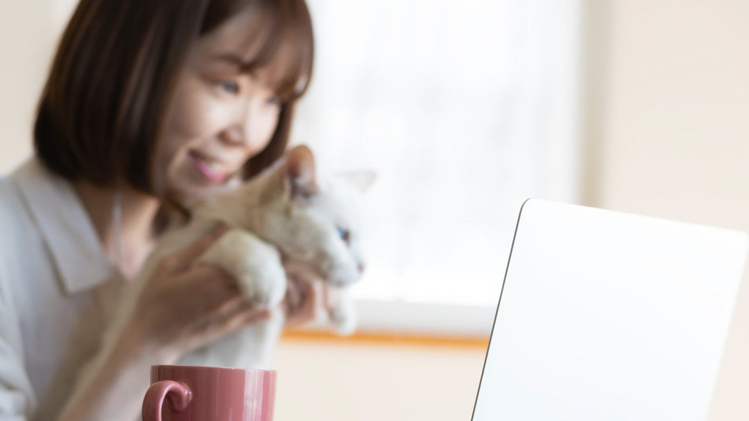 【新機能】お気に入り機能がご利用いただけるようになりました