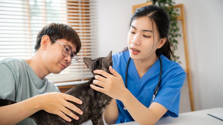 【獣医師執筆】動物病院で働くには？必要な資格・仕事内容・向いている人の特徴を解説