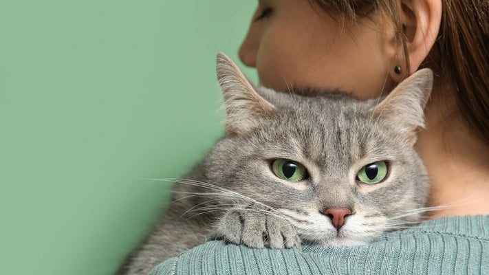 猫が雷を怖がるのはなぜ？愛猫をストレス・不安から守る雷対策