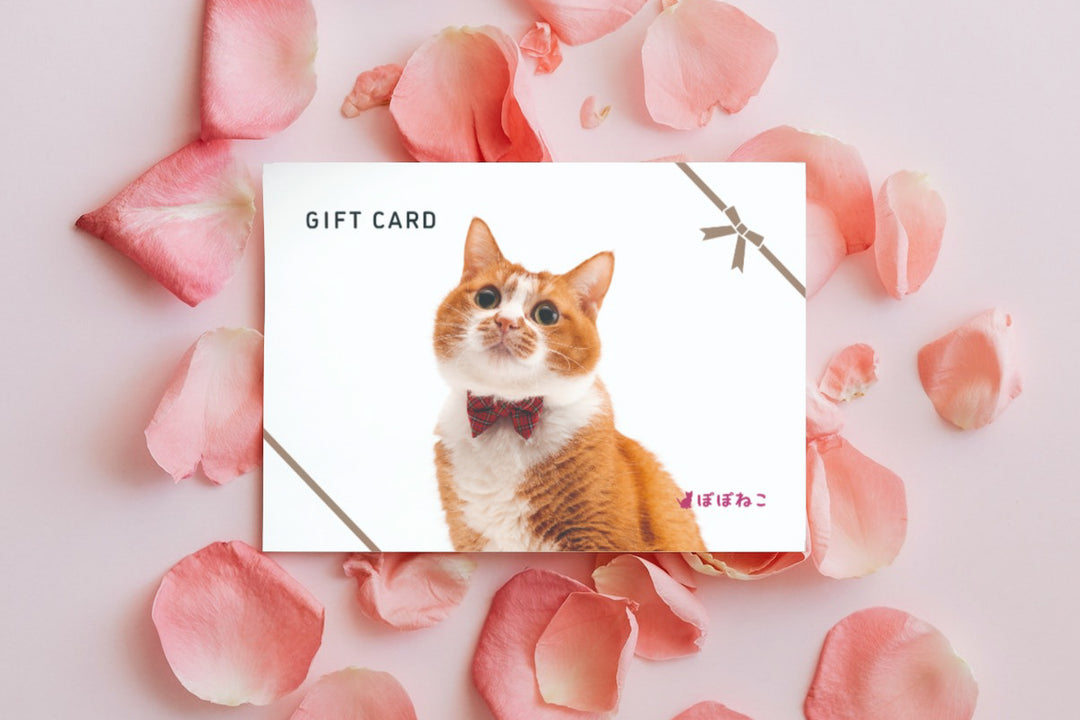 【新商品】ギフトにもぽぽねこを！紙製のギフト券ができました。