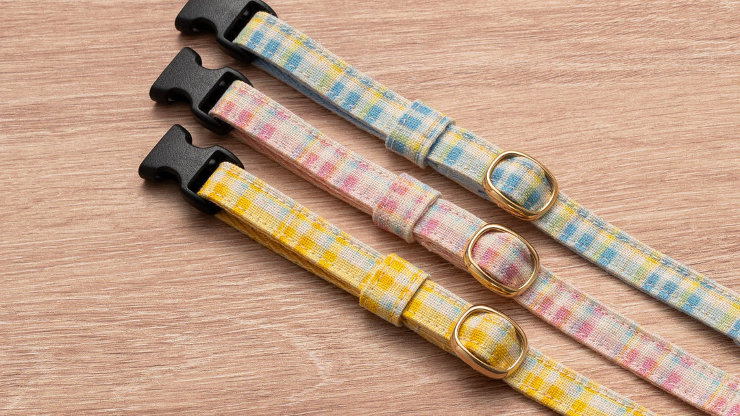 グラフィック猫首輪 春色チェック