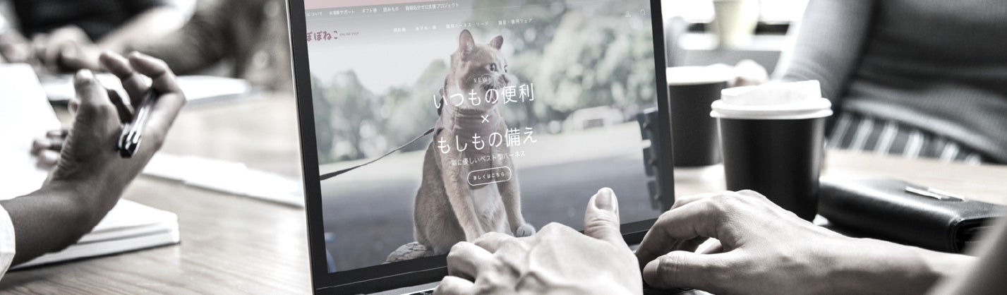 バイヤーズセレクト