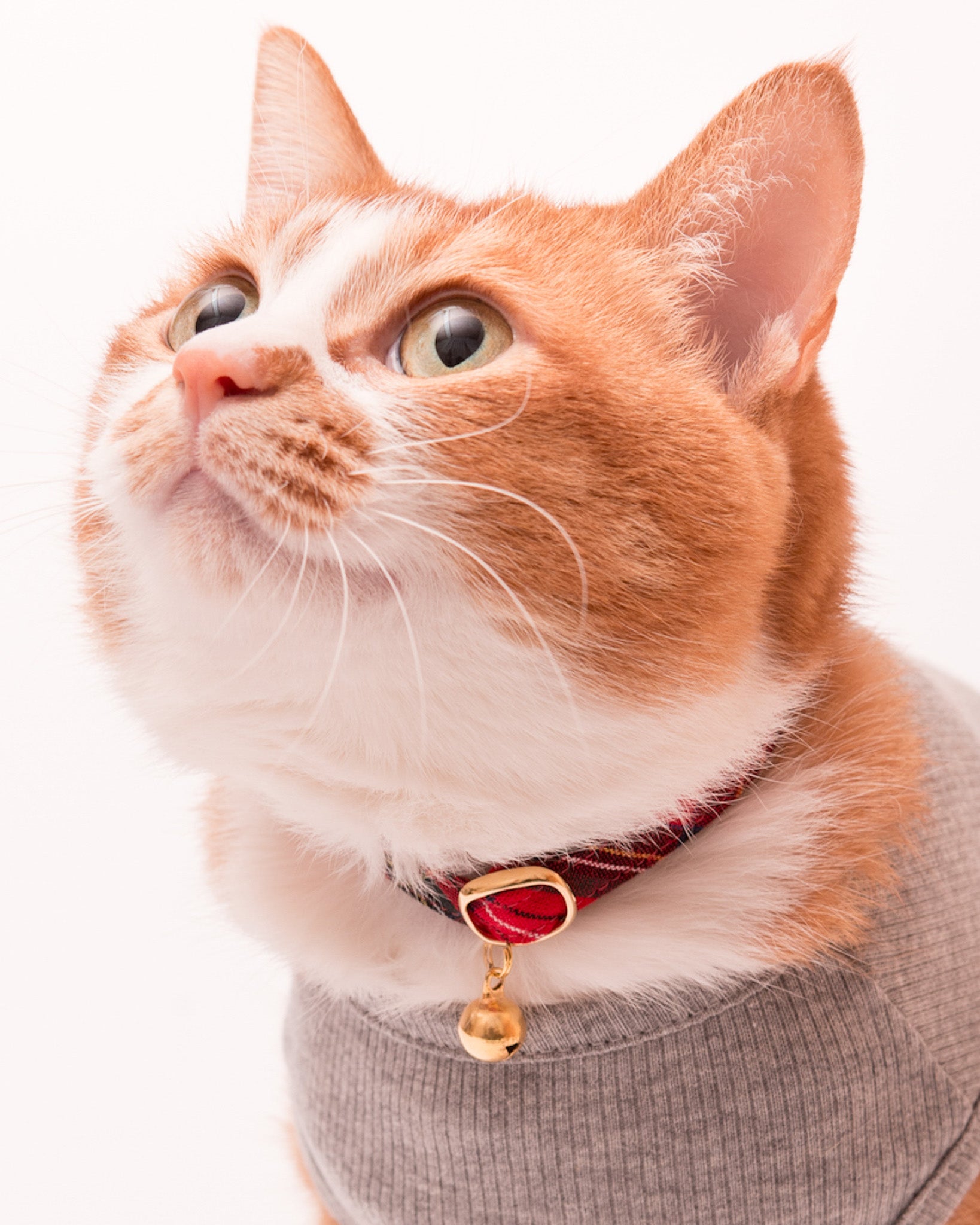 猫首輪 タータンチェック｜ぽぽねこ公式オンラインショップ