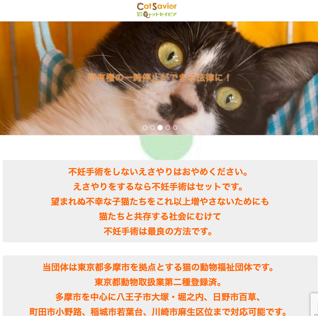 NPO法人キャットセイビア様