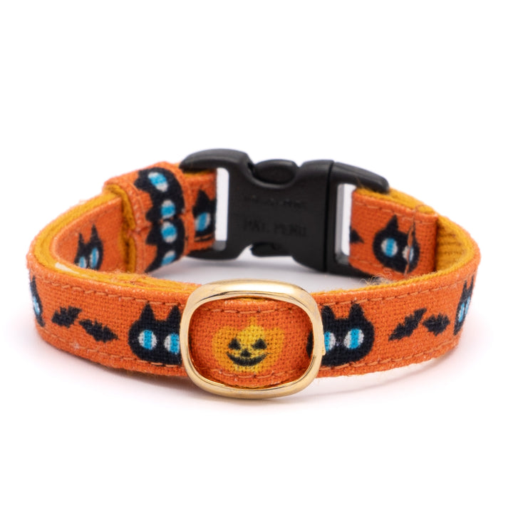 グラフィック猫首輪　黒猫のハロウィン　オレンジ【限定モデル】