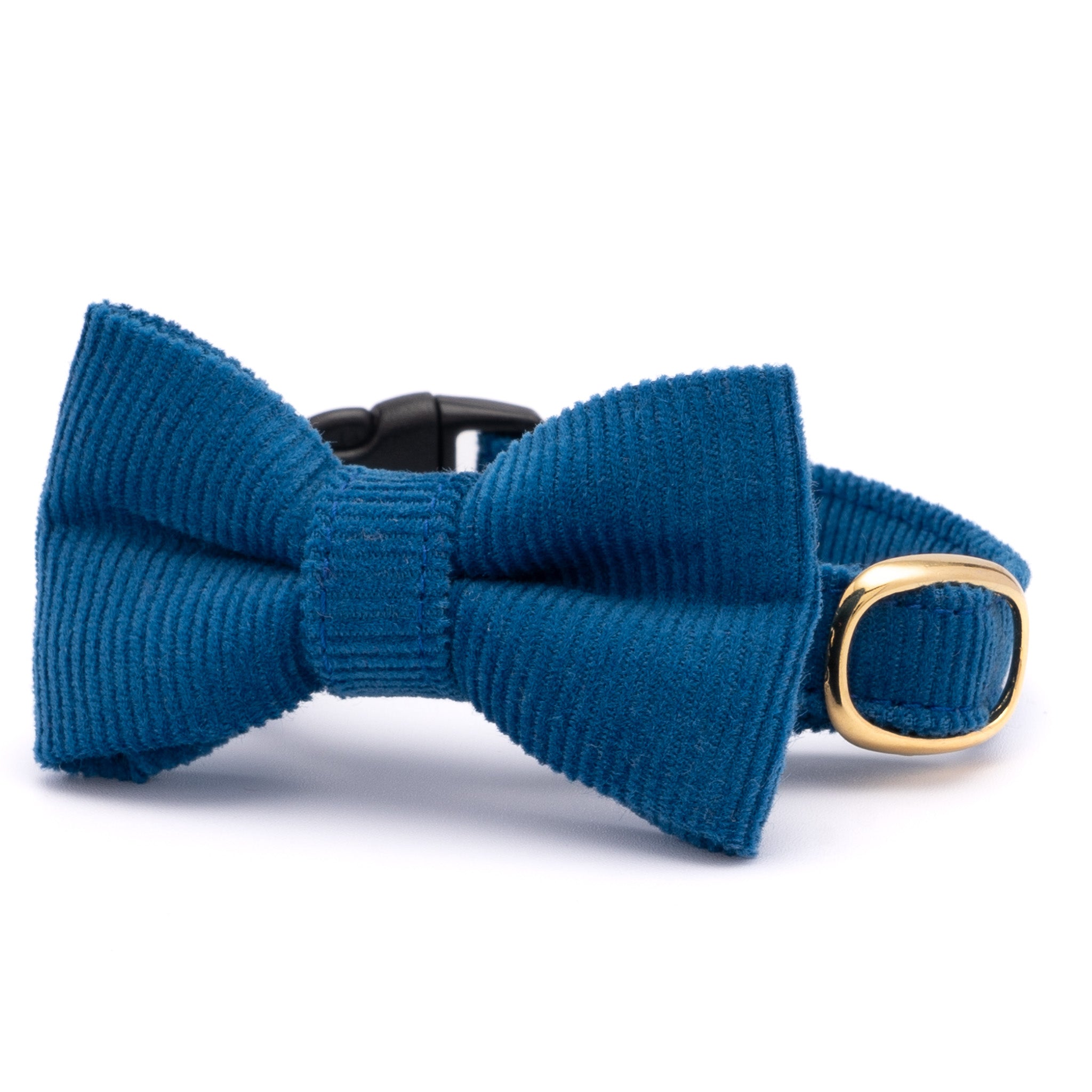 猫ちゃん グログランリボンのリボン首輪 手渡さ 