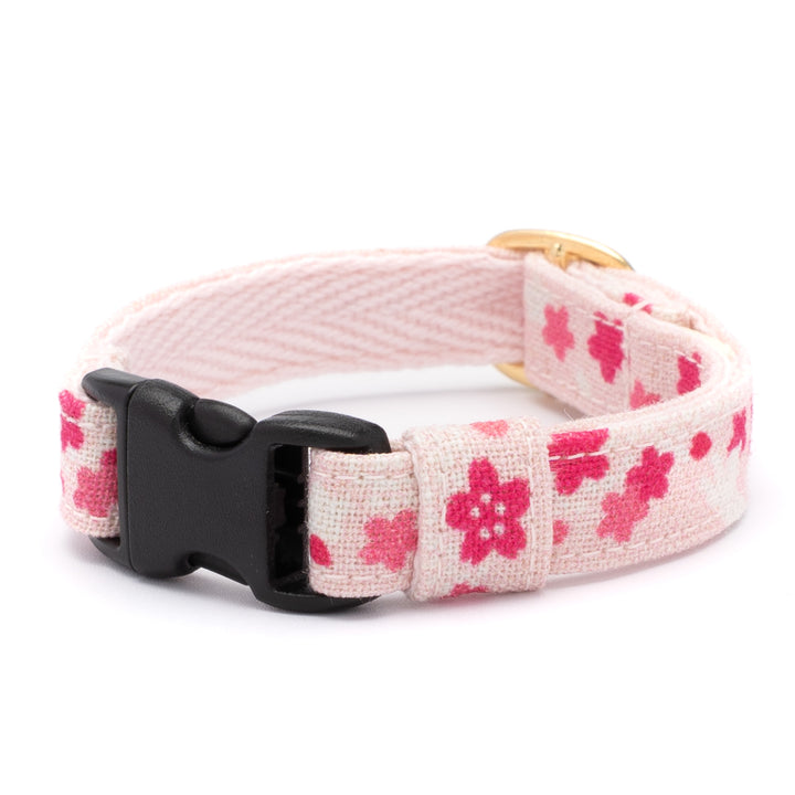 グラフィック猫首輪　春の和柄　桜【限定モデル】
