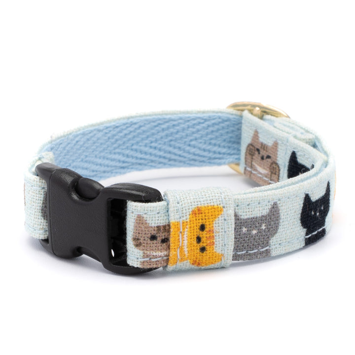 グラフィック猫首輪　色いろ猫　くすみブルー【限定モデル】