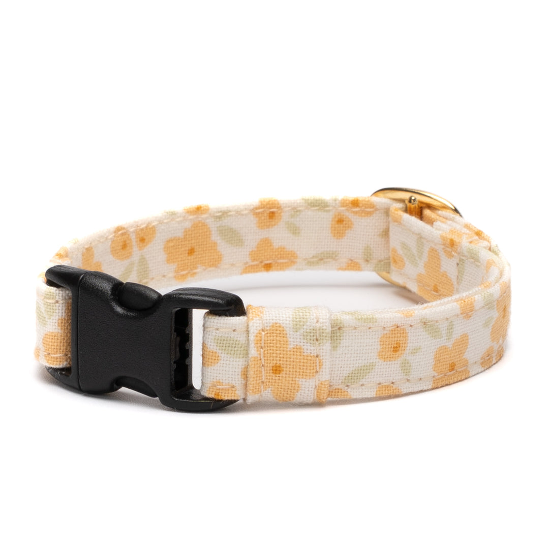 猫首輪　moda コテージチャーム　イエロー【限定モデル】