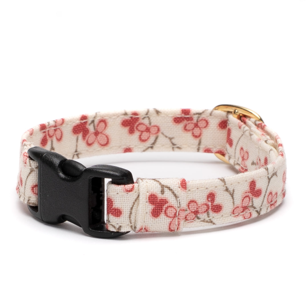 猫首輪　moda ルーアンヌリー トロワ　オフホワイト【限定モデル】