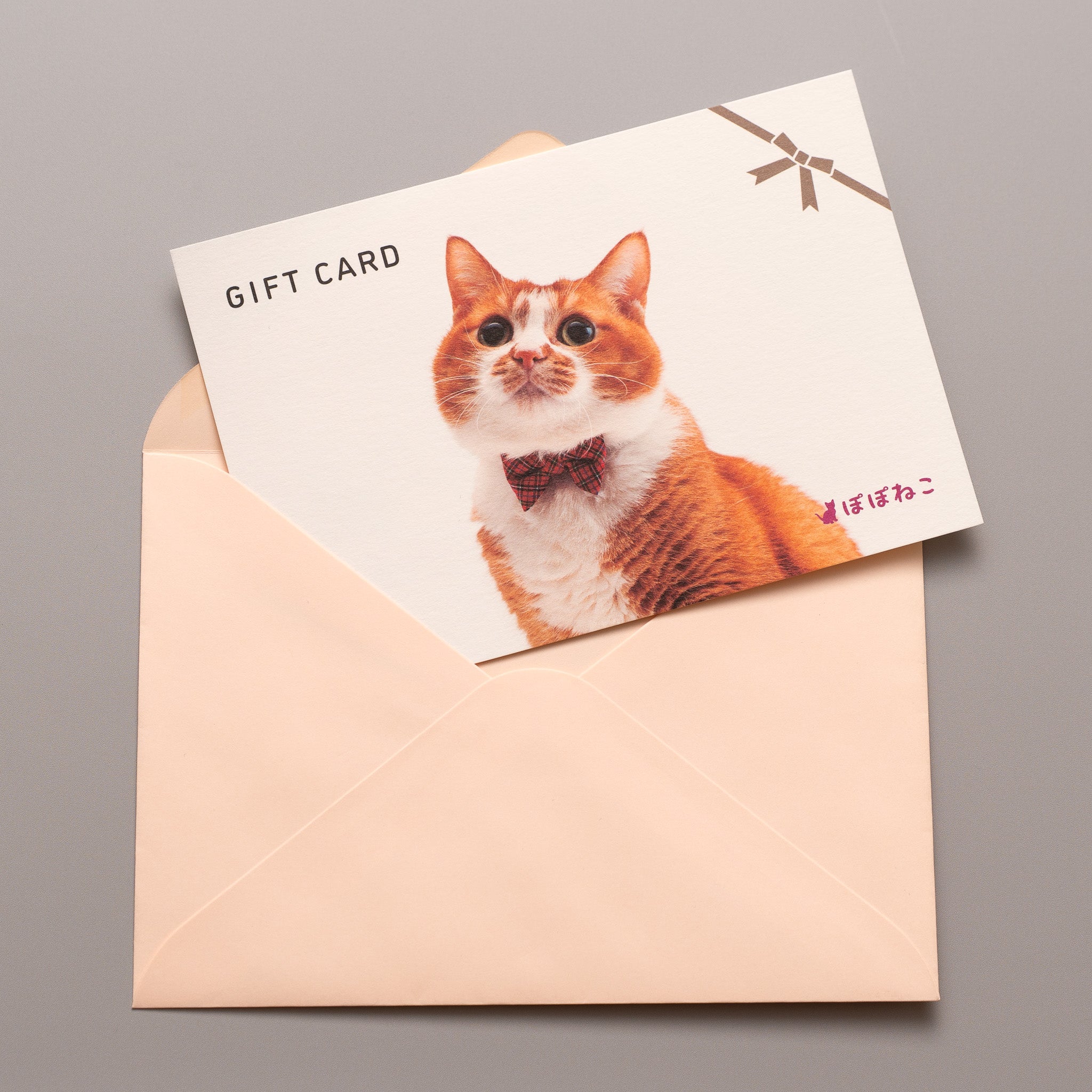 ぽぽねこギフト券（封筒タイプ）｜ぽぽねこ公式オンラインショップ
