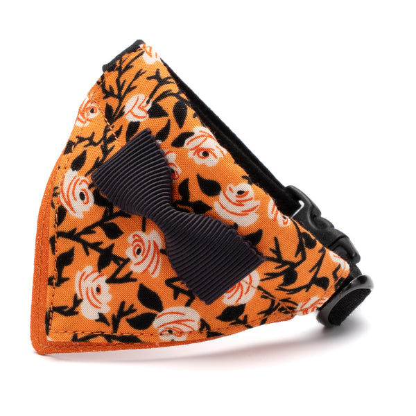 Cat Collar with Bandana - Halloween Party Twilight Rose/Orange